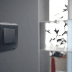 Legrand Mosaic™ switch
