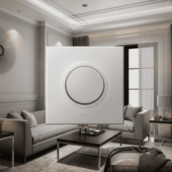Legrand Switches