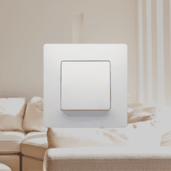 Legrand Niloé™ Switch