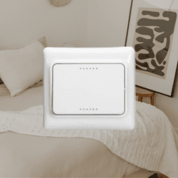 Legrand Kaptika™ Switch