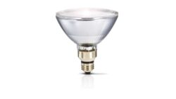 Philips Halogen PAR