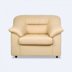 MR FURNITURE Liza Single Seater