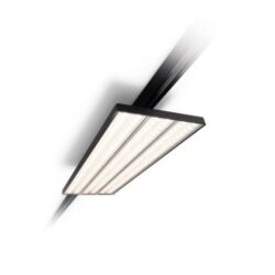 Philips Store Set Evo Light