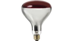 Philips Reflector Infrared R40