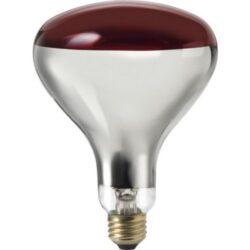 Philips Reflector Infrared R40
