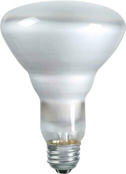 Philips Reflector Flood