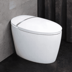 Smart Toilet Bathroom