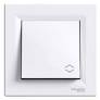 Schneider Asfora Switch