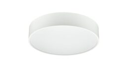 Philips True Circle Surface & Suspended Light