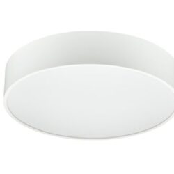Philips True Circle Surface & Suspended Light