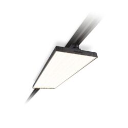 Philips Store Set Light