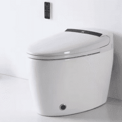 Manufacturing New Arrival Stylish Wc Smart Toilet Intelligent Seat Bidet