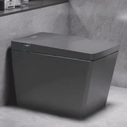ZC25-Multicolor Floor Mounted Saqare Shape Intelligent WC
