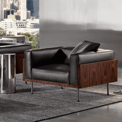 Modern Light Luxury Style Furniture Living room Sofa