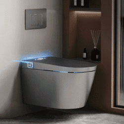 Smart Toilet