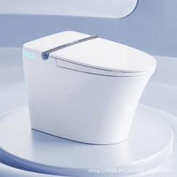 Genuine Smart Toilet