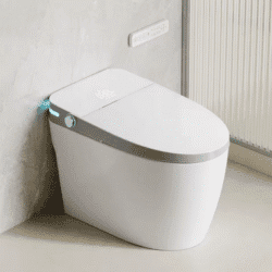 ZC25-New Design Ceramic Smart Toilet Bowl