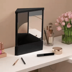 Professional True Mirror