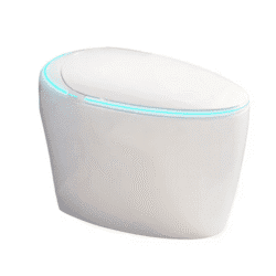 New Creative Egg-shaped Smart Toilet