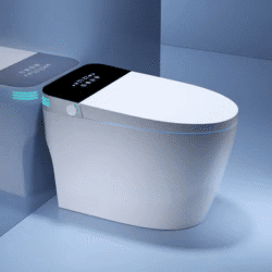 ZC25-Japanese Toilet Seat Cover Intelligent Toilet