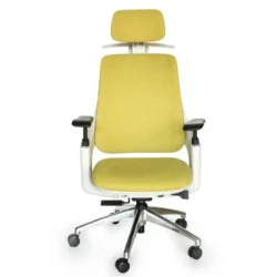 MR FURNITURE Henry Ergonomic Chair