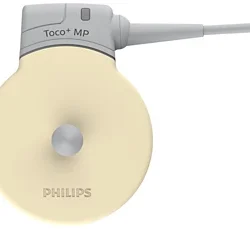 philip Avalon