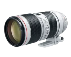 CANON (ALL LENSES) EF 70-200mm f/4L IS II USM