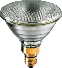 Philips PAR38