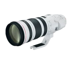 CANON (ALL LENSES) EF 200-400mm f/4L IS USM Extender 1.4x