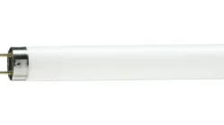 Philips MASTER TL-D 90 De Luxe