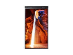 OMN-DS Series 55"