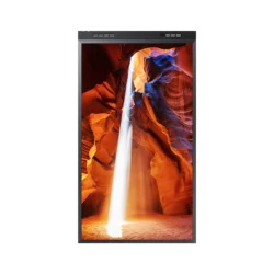 OMN-DS Series 55"