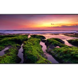 Samsung  QBB-N Series 55"