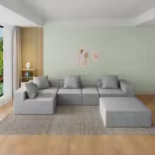 Light Luxury Modern Vacuum Packing Compressed Foam Sofa