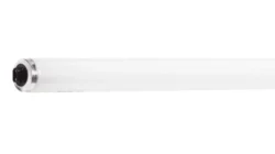 Philips High Output T12