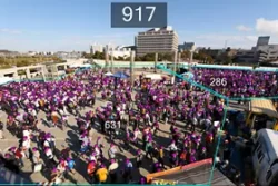 CANON ( SECURITY CAMERA SOFTWARE) Crowd People Counter