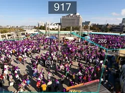 CANON ( SECURITY CAMERA SOFTWARE) Crowd People Counter