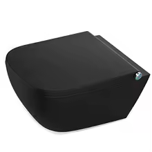 ZC25-OEM Factory WC Modern Square Shape Black Color Wall Mounted Intelligent Smart Toilet